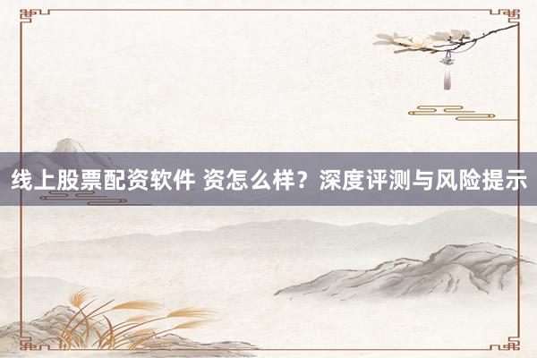 线上股票配资软件 资怎么样？深度评测与风险提示