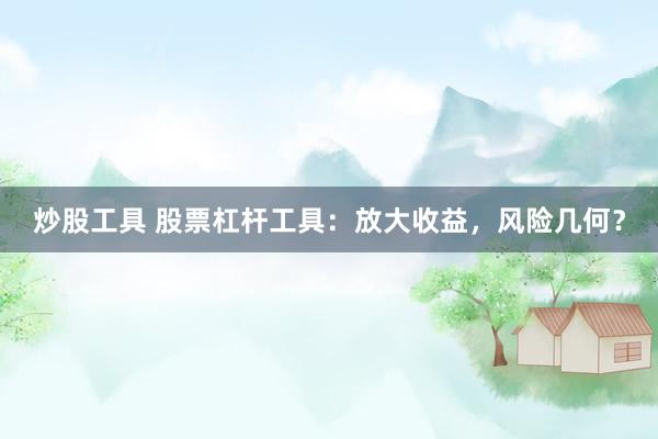 炒股工具 股票杠杆工具：放大收益，风险几何？