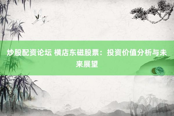 炒股配资论坛 横店东磁股票：投资价值分析与未来展望