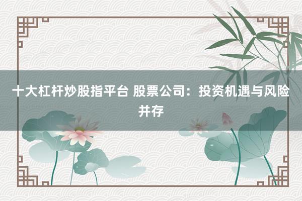 十大杠杆炒股指平台 股票公司：投资机遇与风险并存