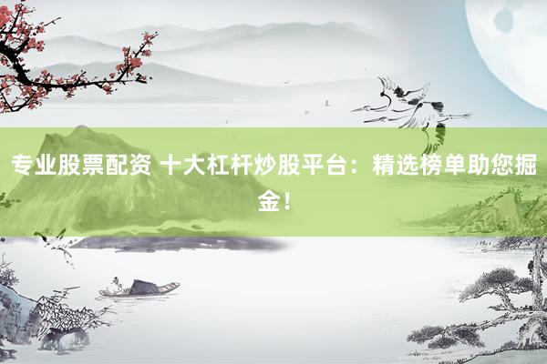 专业股票配资 十大杠杆炒股平台：精选榜单助您掘金！