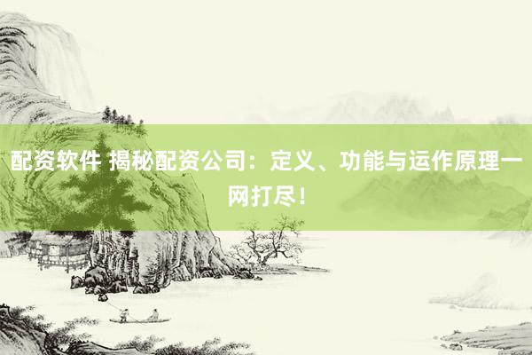 配资软件 揭秘配资公司：定义、功能与运作原理一网打尽！