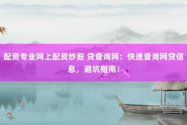 配资专业网上配资炒股 贷查询网：快速查询网贷信息，避坑指南！