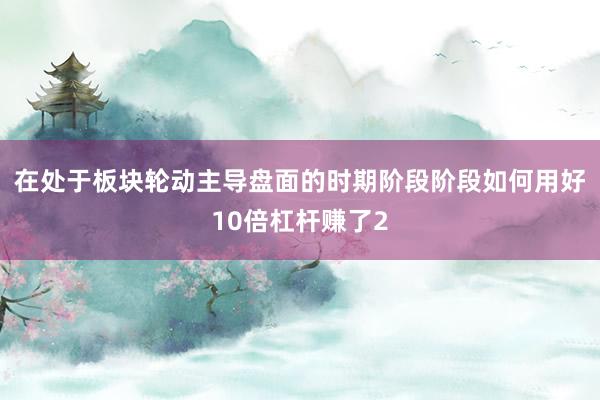 在处于板块轮动主导盘面的时期阶段阶段如何用好10倍杠杆赚了2