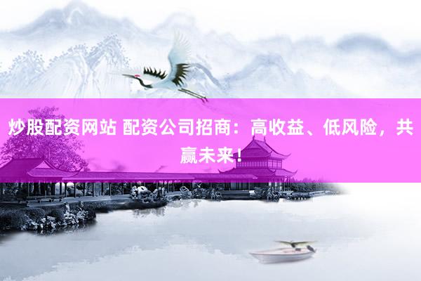 炒股配资网站 配资公司招商：高收益、低风险，共赢未来！