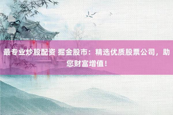 最专业炒股配资 掘金股市:精选优质股票公司,助您财富增值!