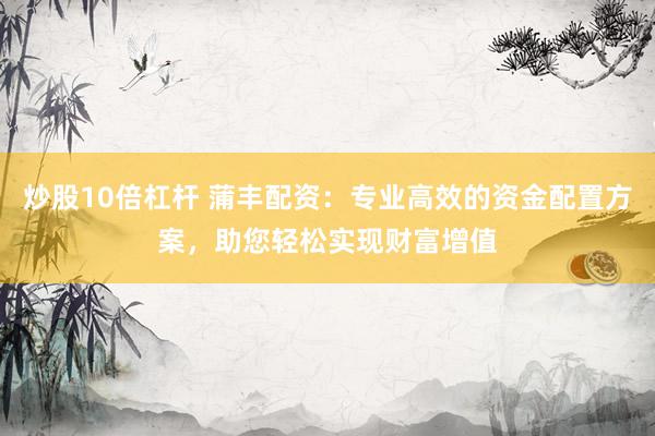 炒股10倍杠杆 蒲丰配资：专业高效的资金配置方案，助您轻松实现财富增值