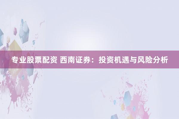 专业股票配资 西南证券：投资机遇与风险分析