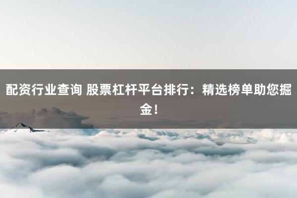 配资行业查询 股票杠杆平台排行：精选榜单助您掘金！