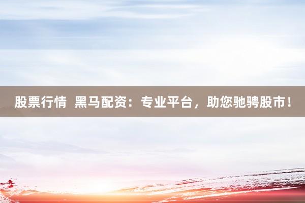 股票行情  黑马配资：专业平台，助您驰骋股市！