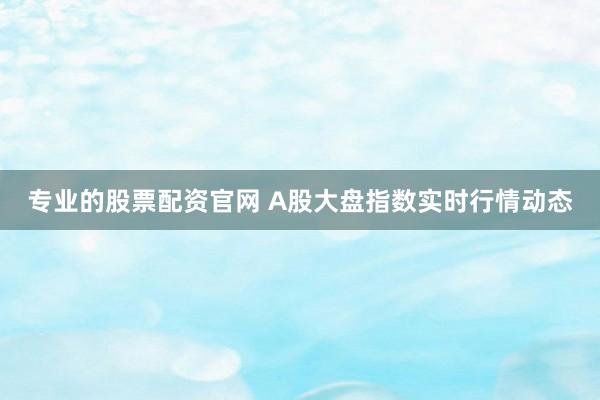 专业的股票配资官网 A股大盘指数实时行情动态